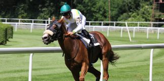 Tropics victory would be emotional for Dean Ivory