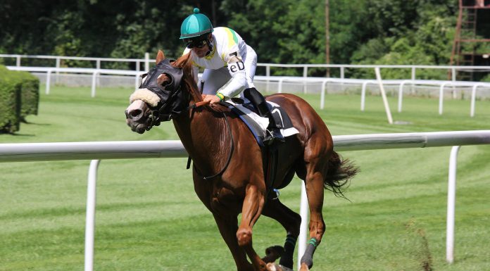 Tropics victory would be emotional for Dean Ivory